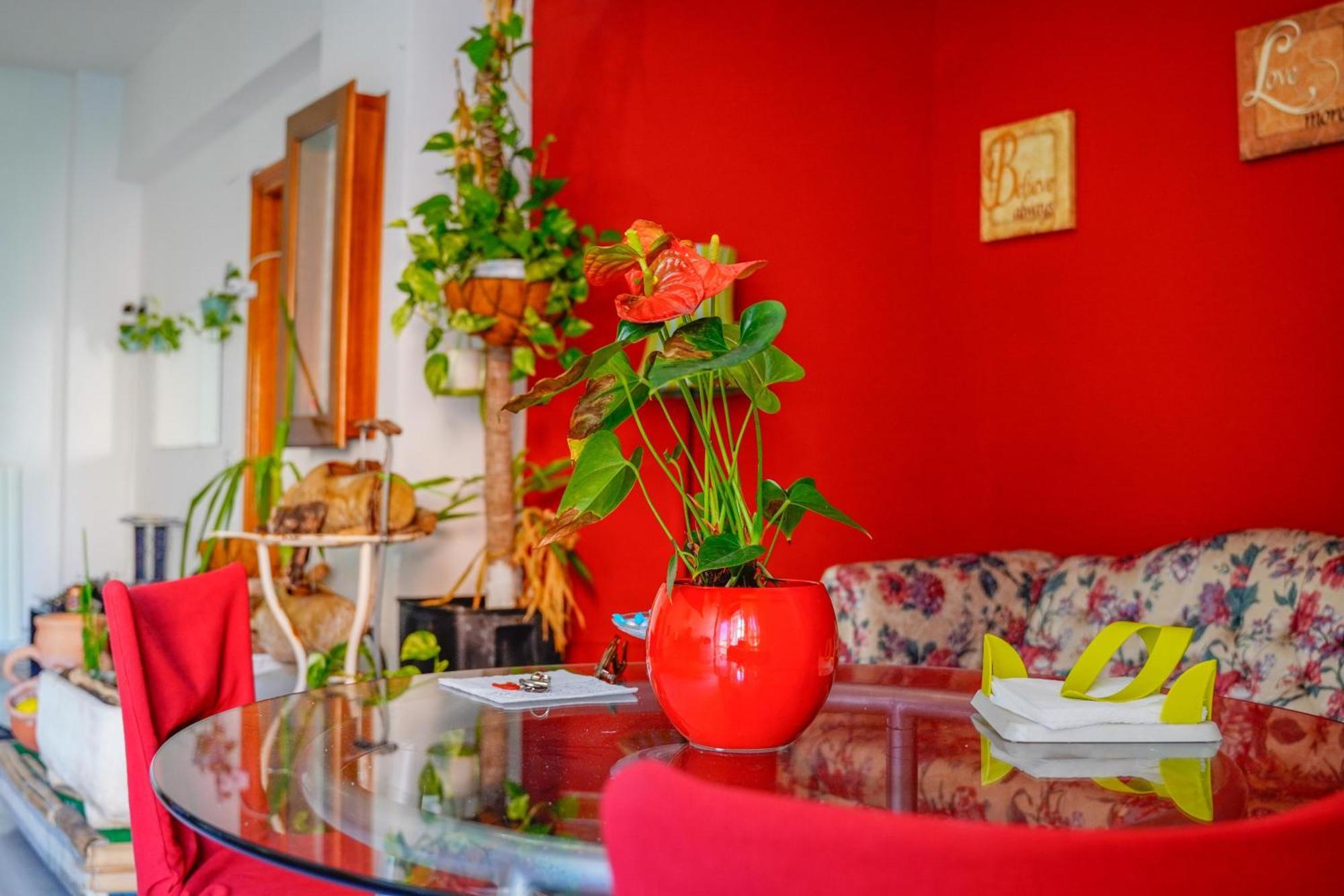 Hotel Bed & Breakfast La Terrazza Latina Zewnętrze zdjęcie