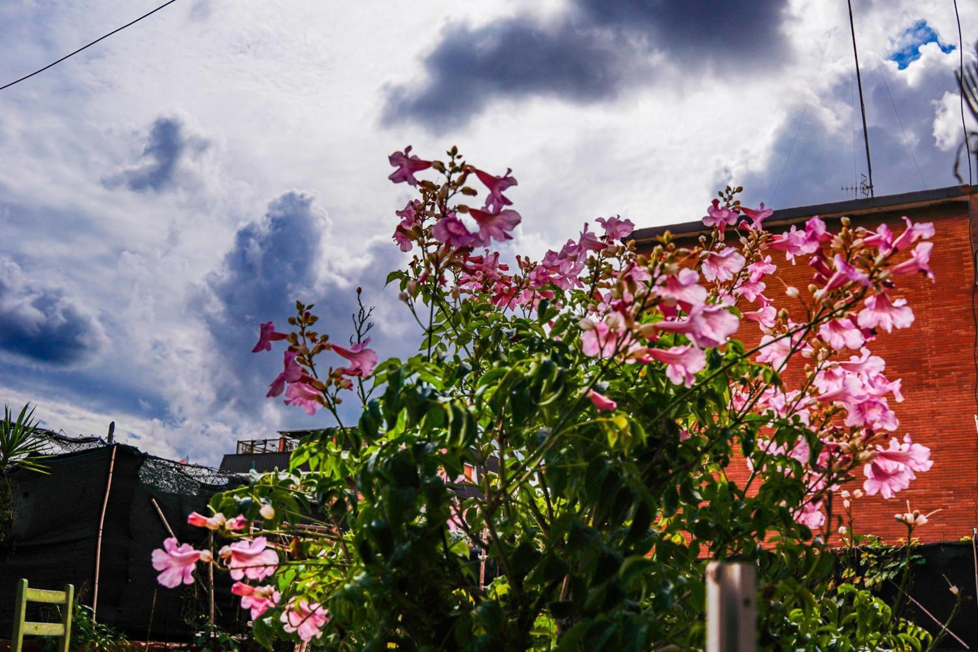Hotel Bed & Breakfast La Terrazza Latina Zewnętrze zdjęcie